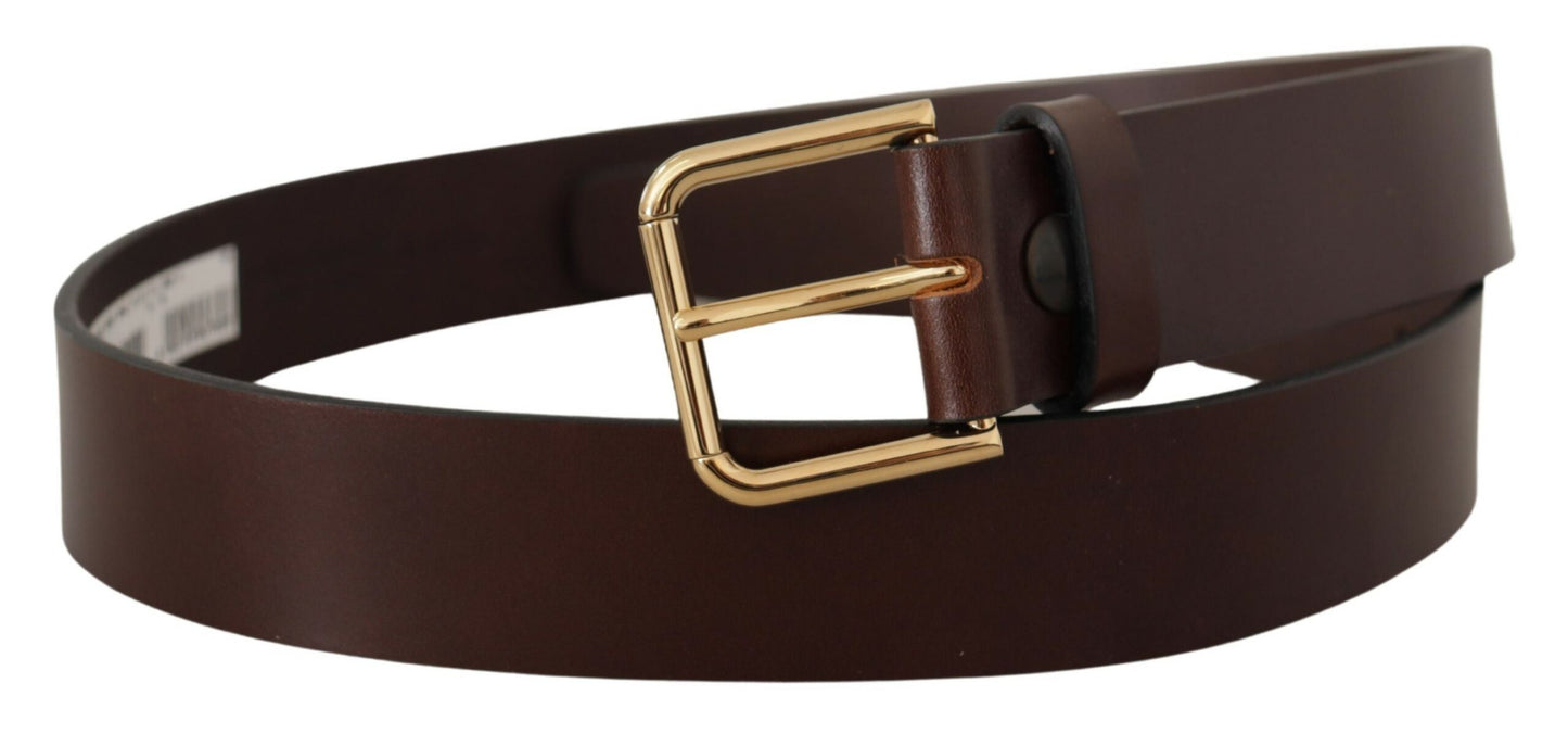 Dolce & Gabbana Elegant Dark Brown Leather Belt